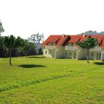3D Simple house view from behind