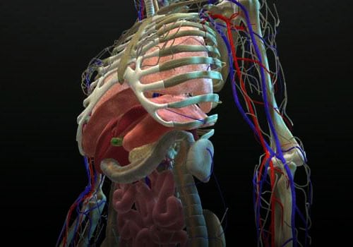 Medical 3D visualization
